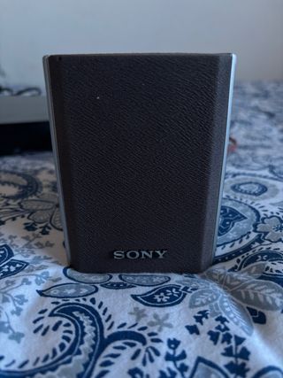 Altavoces Sony Negros y Plateados