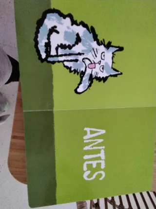 Antes & después (Spanish Edition)