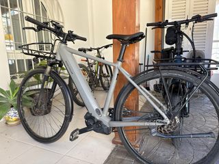Bicicleta Eléctrica Riese Muller Roadster Vario