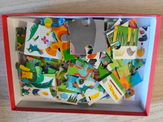 Puzzle Djeco 35 piezas Observación