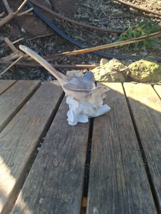 Figura de porcelana de dos pájaros LLADRÓ