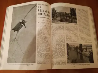 Revistas CAZA Y PESCA encuadernadas
