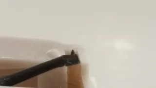 2 Agujas Rega Carbon, una nueva y otra como nueva