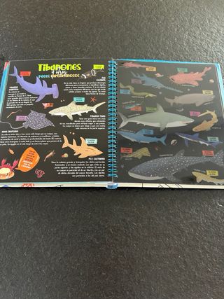 Busca con la linterna animales marinos