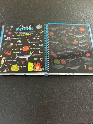 Busca con la linterna animales marinos