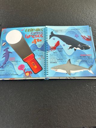 Busca con la linterna animales marinos