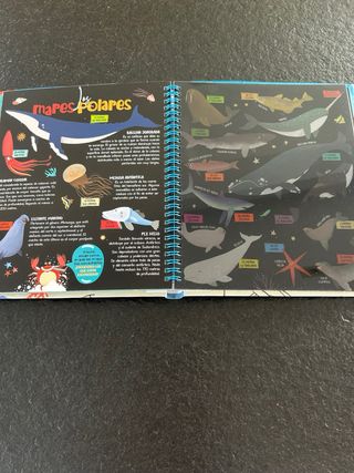 Busca con la linterna animales marinos