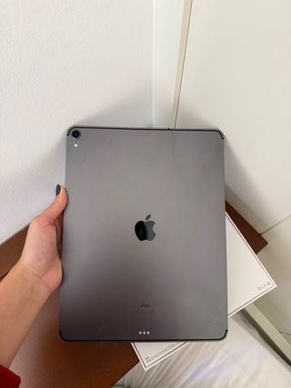 iPad Pro 12.9 256GB Wi-Fi+Cellular