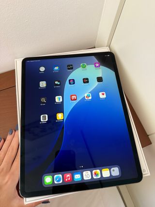 iPad Pro 12.9 256GB Wi-Fi+Cellular