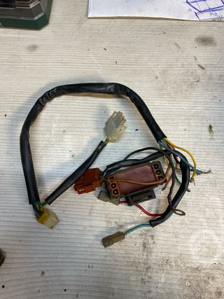 Bobina y cableado Gas Gas Trial