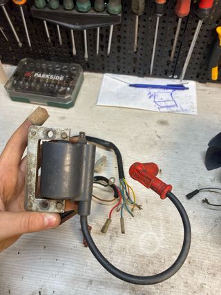 Bobina y cableado Gas Gas Trial