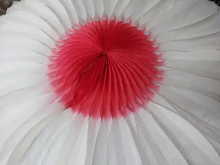 Festone a fiore di carta bianco e rosso