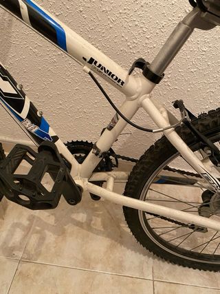 Bicicleta infantil BH Junior