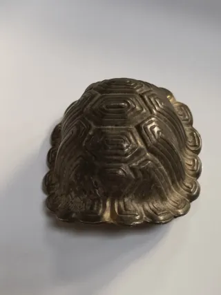 Guscio di tartaruga decorativo