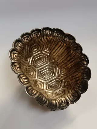 Guscio di tartaruga decorativo