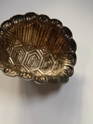 Guscio di tartaruga decorativo