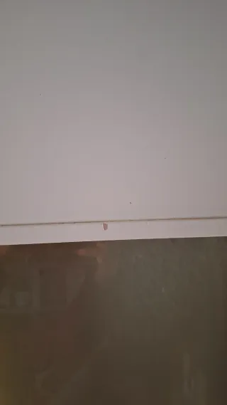 Puerta blanca con cristal