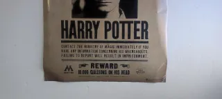 Póster Harry Potter Undesirable No. 1