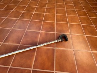 Vibrador de aceitunas