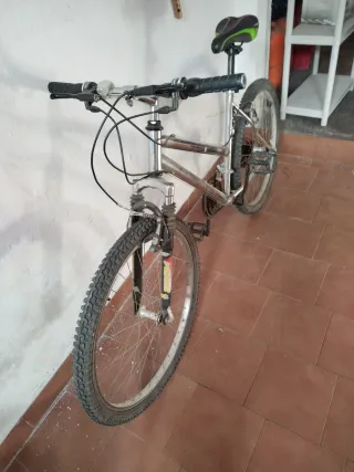 Bicicleta Montaña