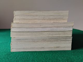 Rumiko Takahashi Collection [sashimiboyz] Manga