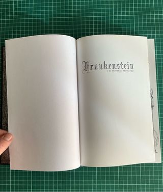 Frankenstein - Bernie Wrightson