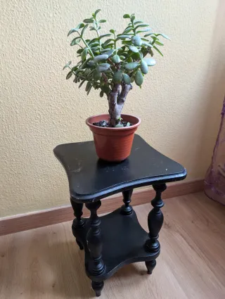 Taburete decorativo de madera negro