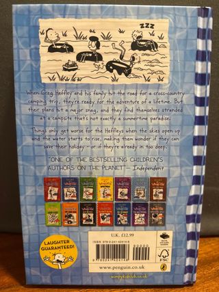 The Deep End : Diary of a Wimpy Kid Book 15