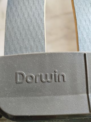 Somier Eléctrico Articulable Dorwin Grupo Flex