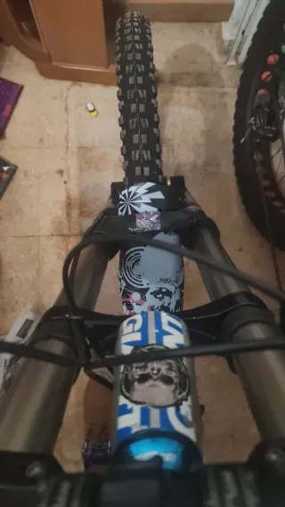 Giant Glory 00 8.0 Talla S Fox 200