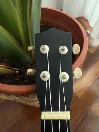 Ukelele Negro