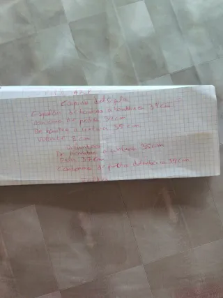 Traje de Fallera Corpiño Siglo y Farol