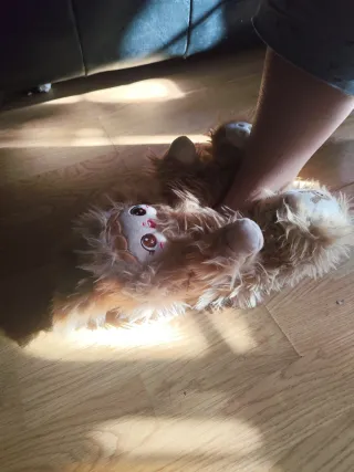Zapatillas de peluche