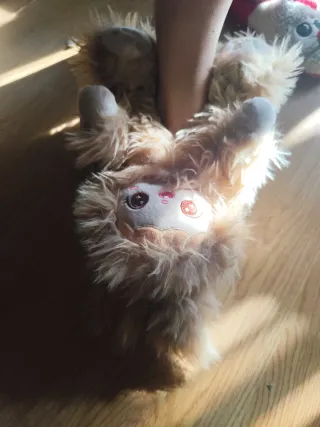 Zapatillas de peluche