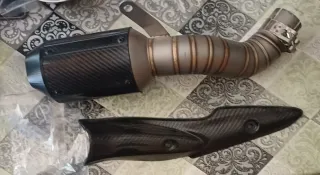 Silenciador y protector carbono moto