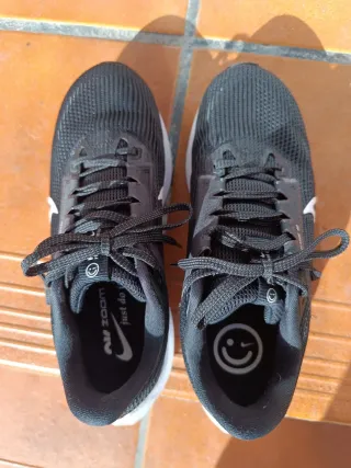 Nike Pegasus 40 Negro