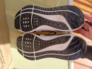 Nike Pegasus 40 Negro