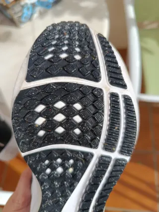 Nike Pegasus 40 Negro