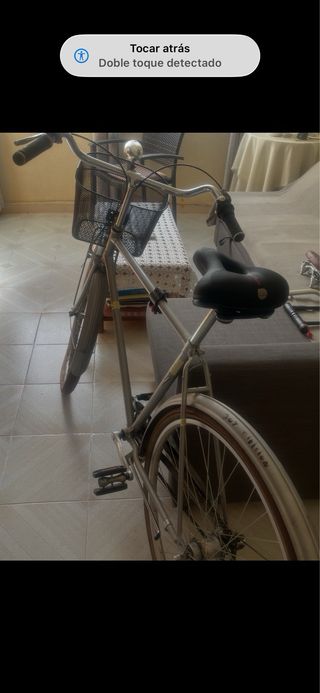 Bicicleta paseo holandesa