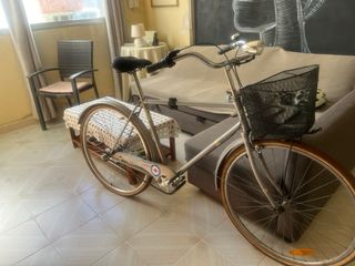 Bicicleta paseo holandesa