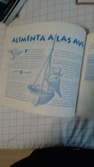 Juegos y actividades para hacer en casa