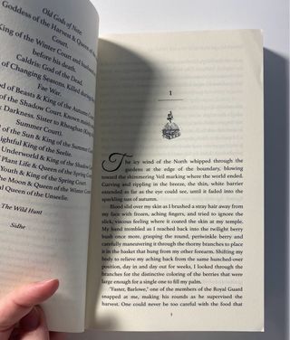 What Lies Beyond the Veil (1 y 2)