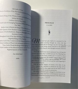 What Lies Beyond the Veil (1 y 2)