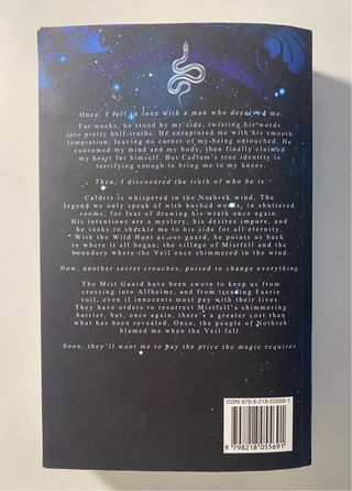 What Lies Beyond the Veil (1 y 2)