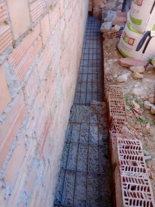 Económico oficial 1