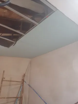 Económico oficial 1