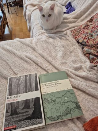 Un Viaje y El Pentateuco de Isaac