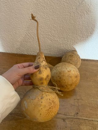 Calabazas decorativas