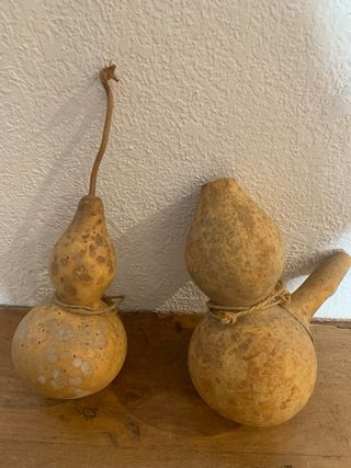 Calabazas decorativas