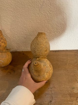 Calabazas decorativas